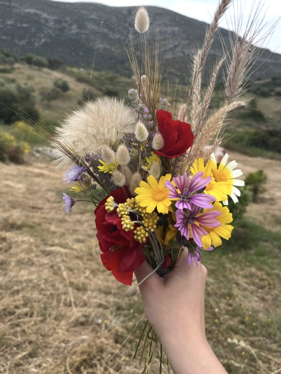 Wildflowers from the Greek countryside